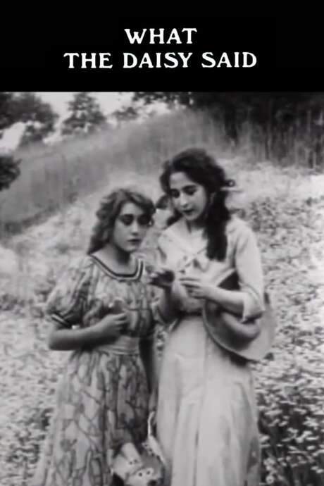 What the Daisy Said